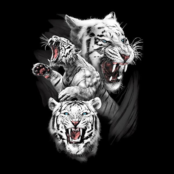 "Wild Life" series T-shirt - White Tigers