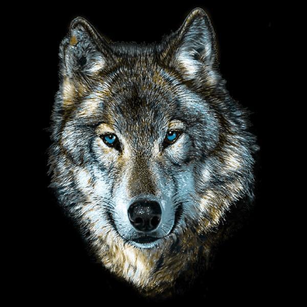 T-shirt from the "Wild Life" series - Wolf